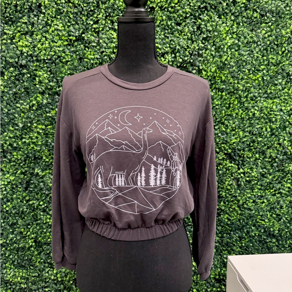 long sleeve dino shirt
